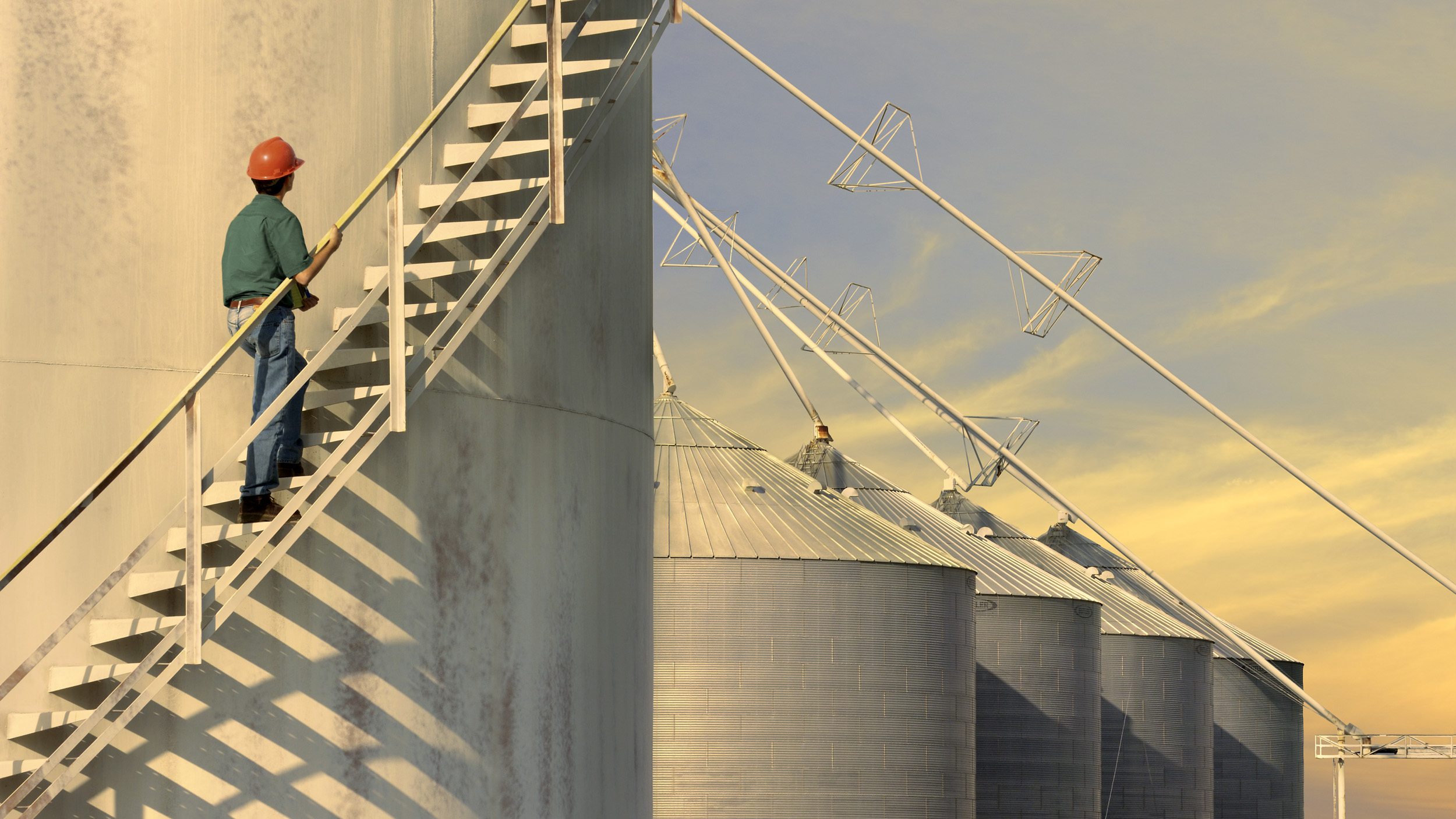 Grain storage silos