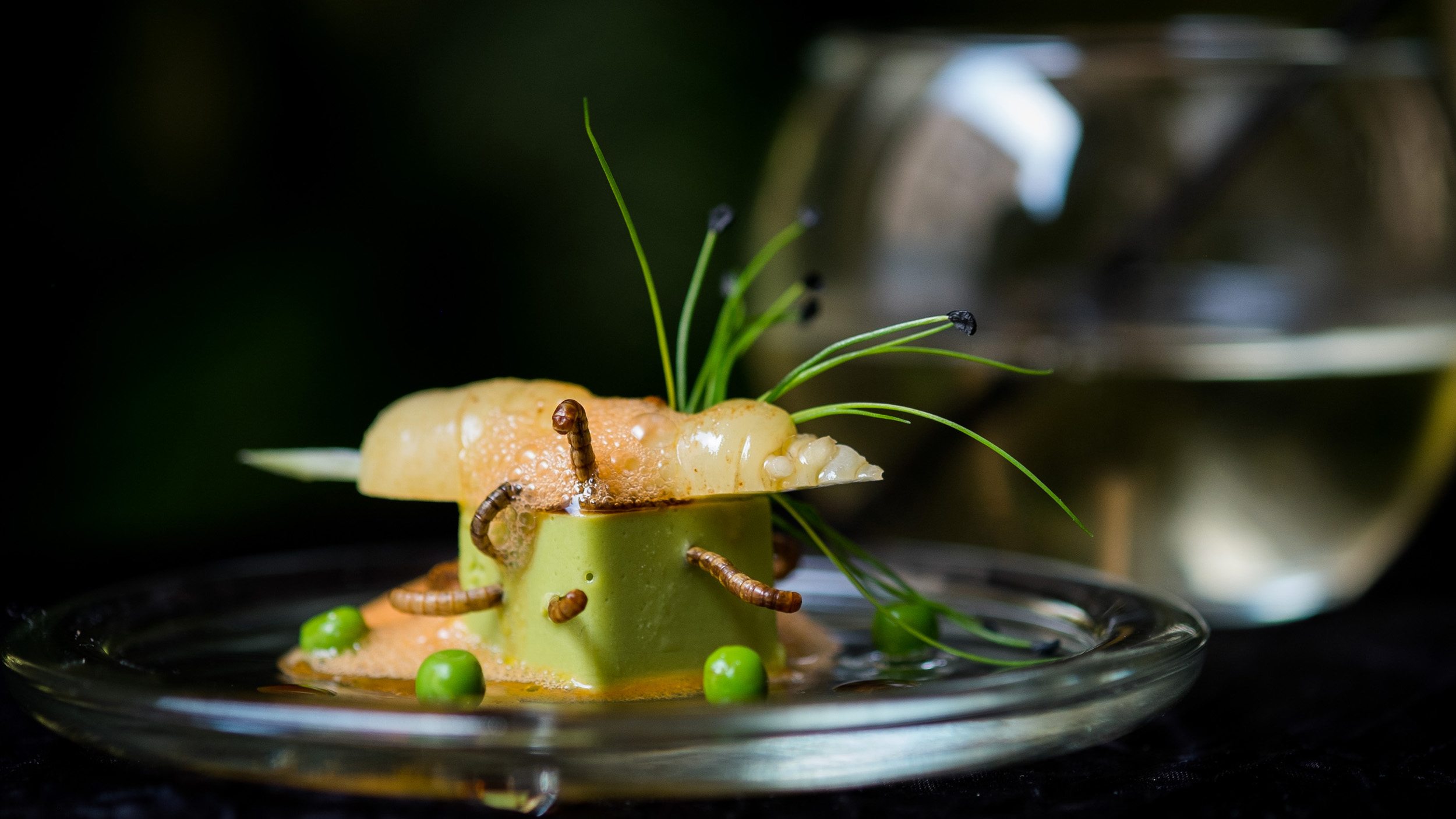 An appetizer of'Petit pois carre et son ecume de Carottes, vers de farine' - peas, carrots and worms - prepared by French chef David Faure in his Michelin-rated restaurant 'Aphrodite' in Nice, France.