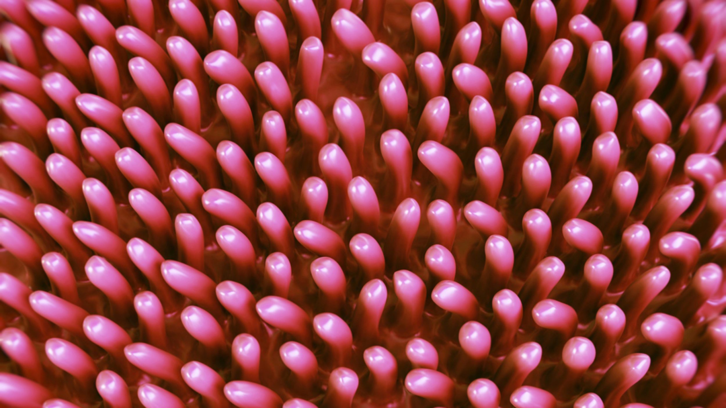 Illustration of human intestinal lining