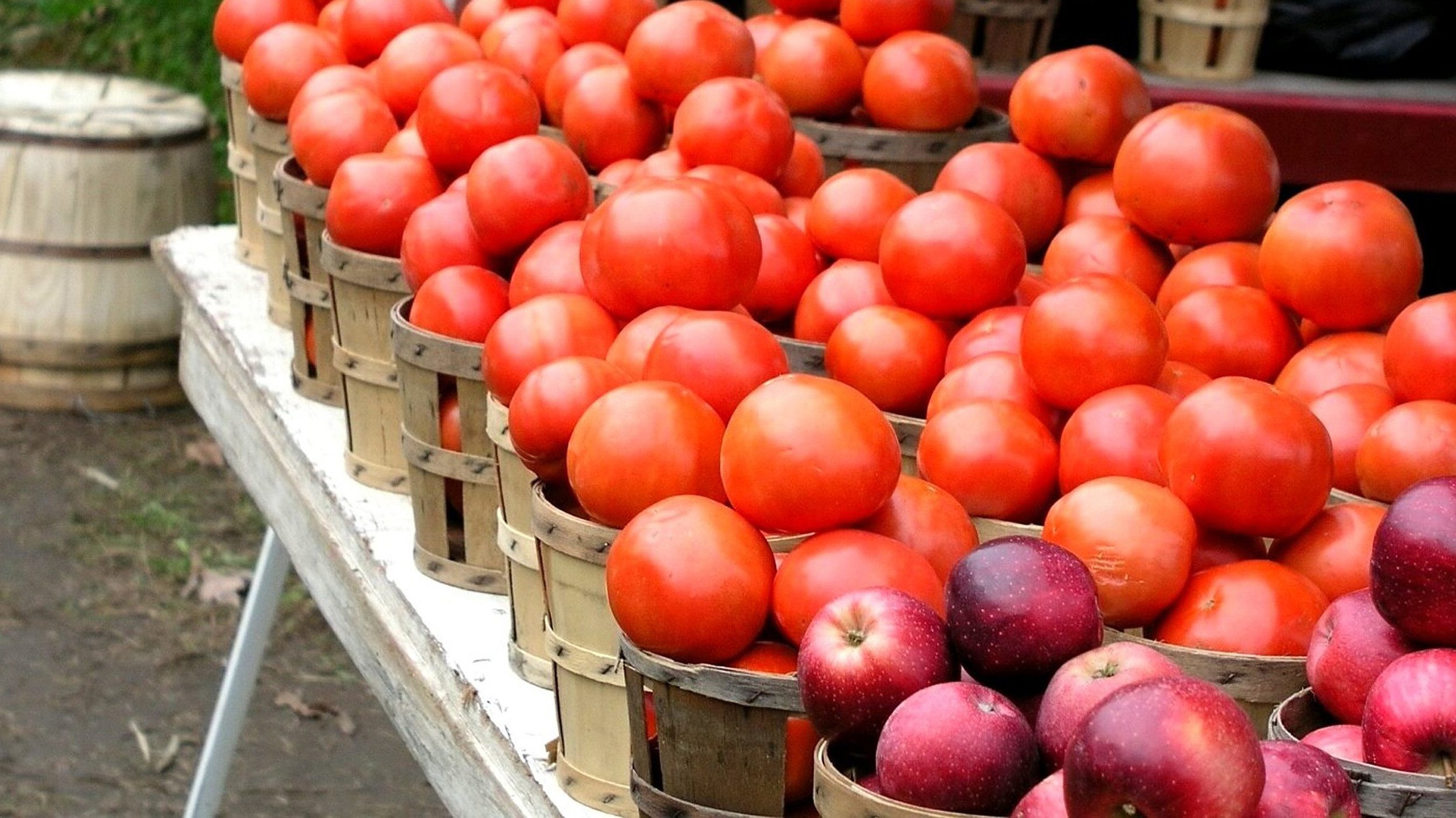 Baskets of ripe tomatoes and apples at a local produce stand