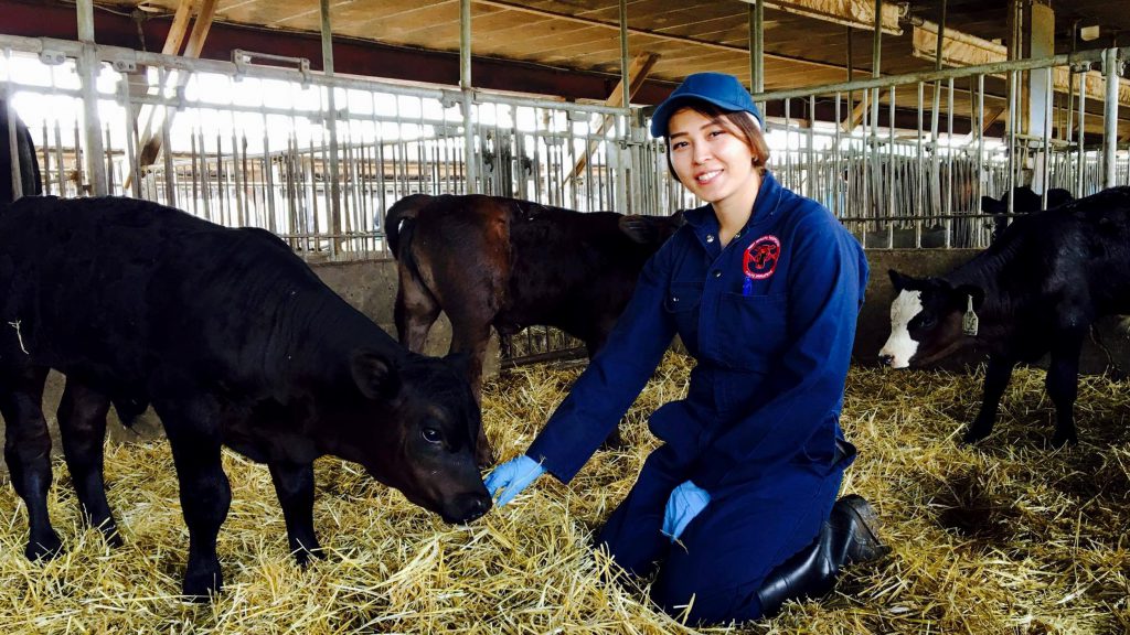 Nasrin, Arrell Food Institute Scholarship winner, sits with a beef calf