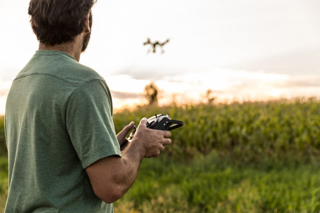 A man flies a drone over a corn field