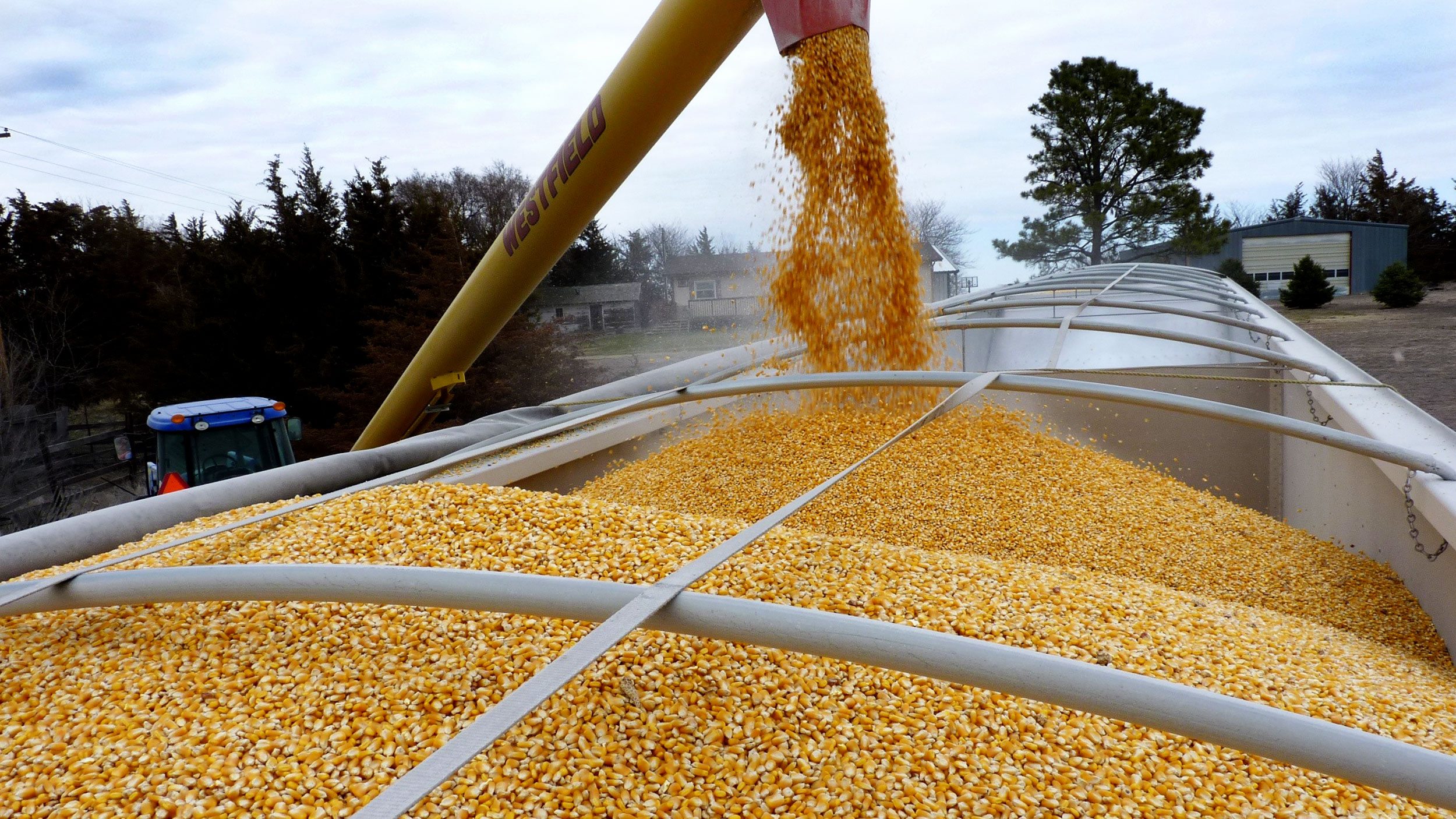 An auger pours corn into the back of a truck