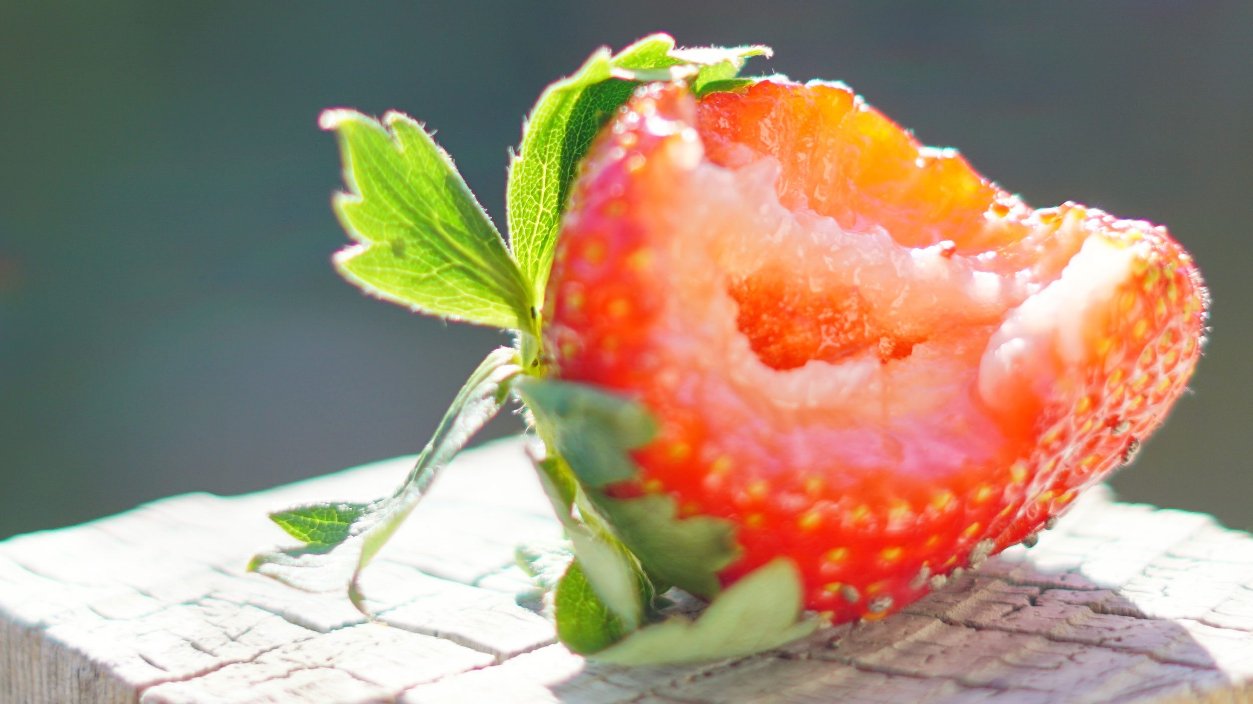 Half eaten strawberry in the sun