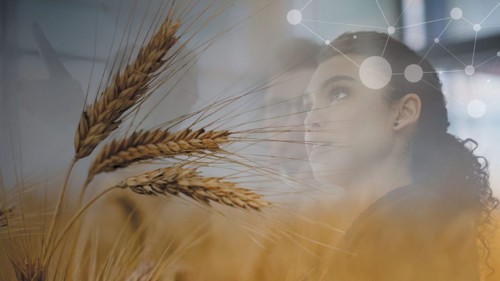 Layered image of woman and group brainstorming, under image of wheat in wheat field