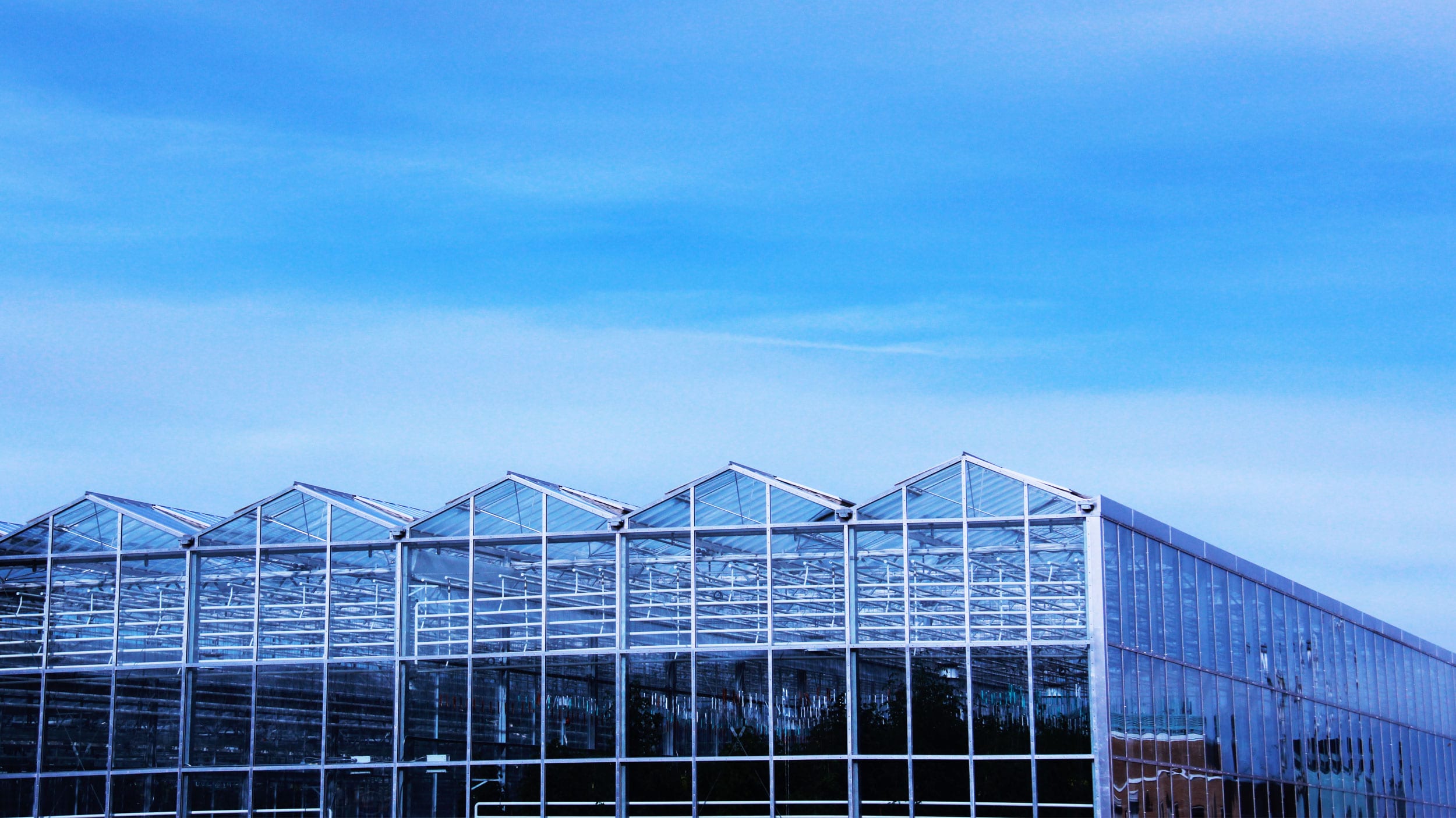 A greenhouse under a blue sky