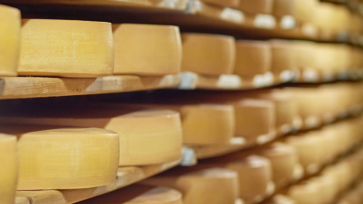 Wheels of cheese on shelves