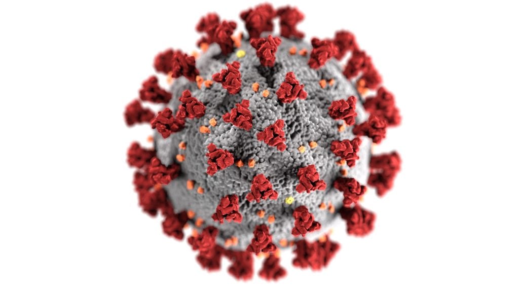 Close-up of COVID-19 virus