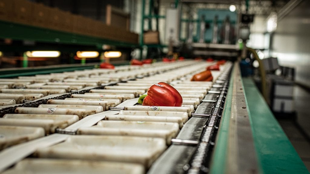 A red pepper on a conveyor belt.