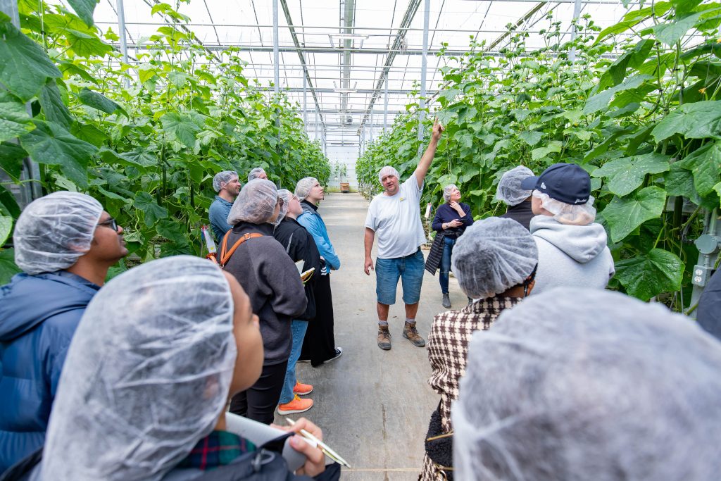 Grower points at a cucumber plant with 12 students watching