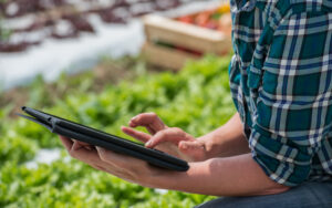 Female Gardener With Digital Tablet